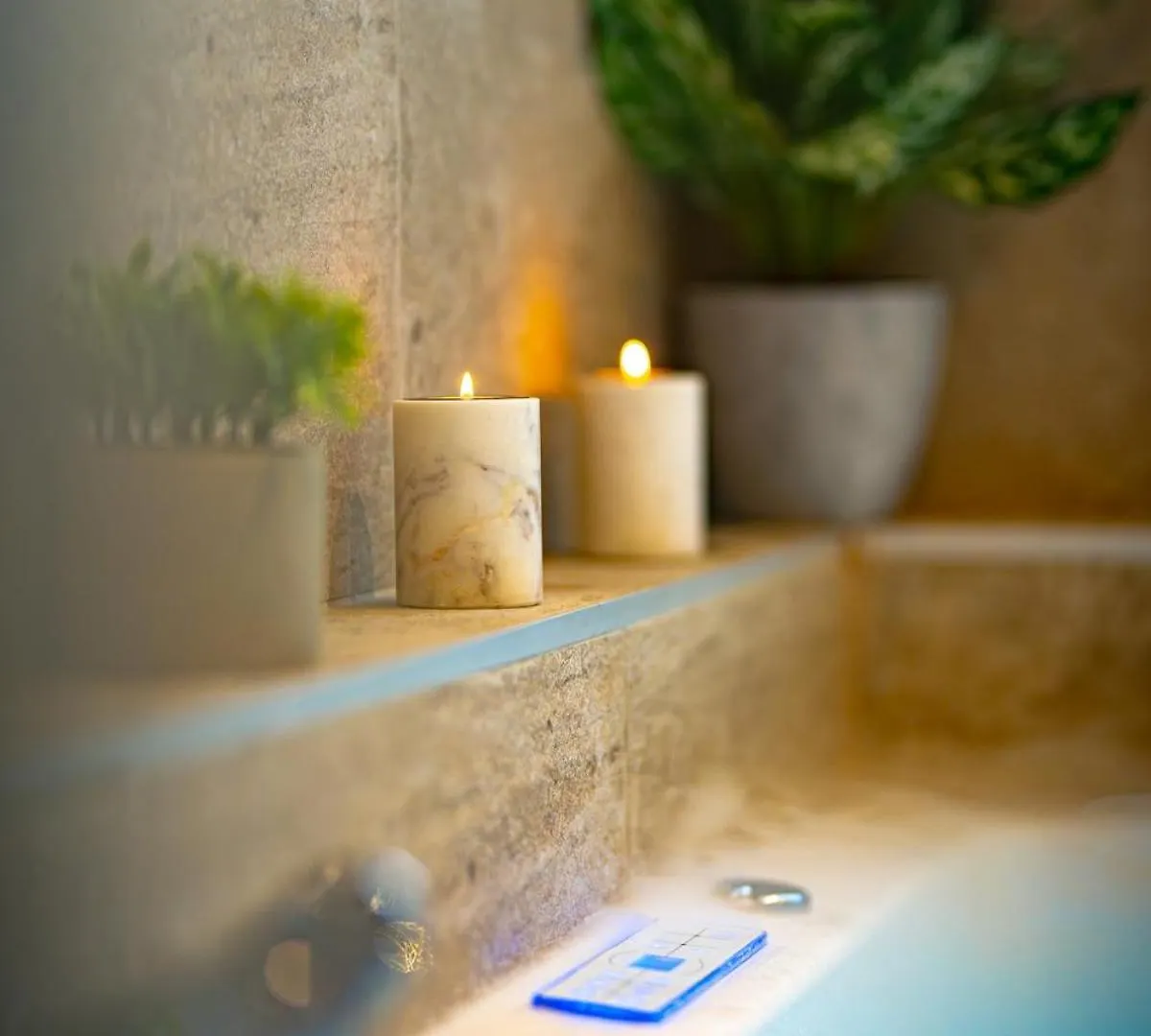 Chic & Spa L Ascenseur L Terrasse Centre Ville Chambéry